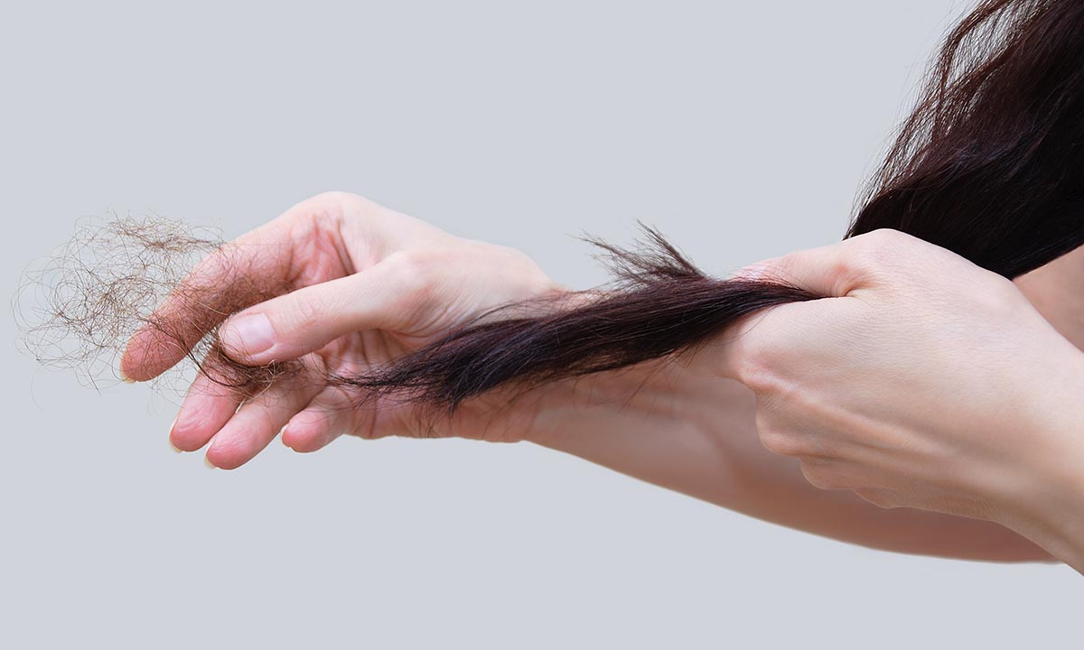 Cuidados el cabello fino - Thuya Escuela