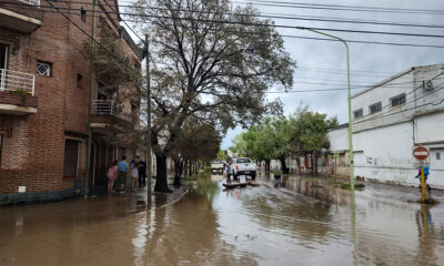El Senado aprobó la declaración de emergencia y zona de desastre en Bahía Blanca y Punta Alta - Image 2